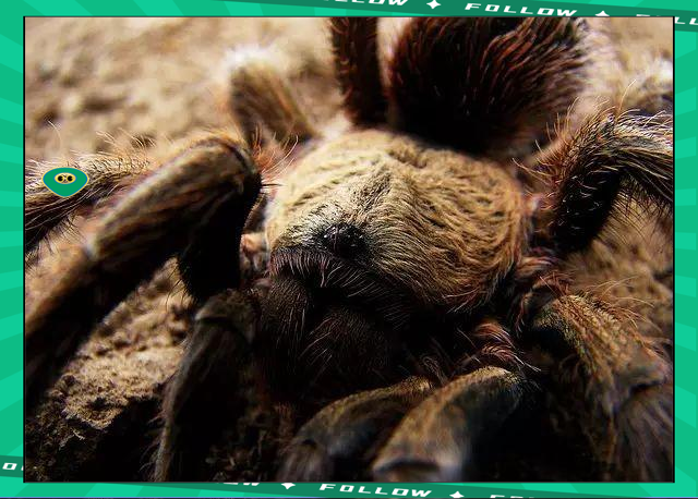 亚博体育- 世界足球莱万多夫斯基 